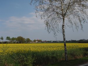 RTF Celle HN 209